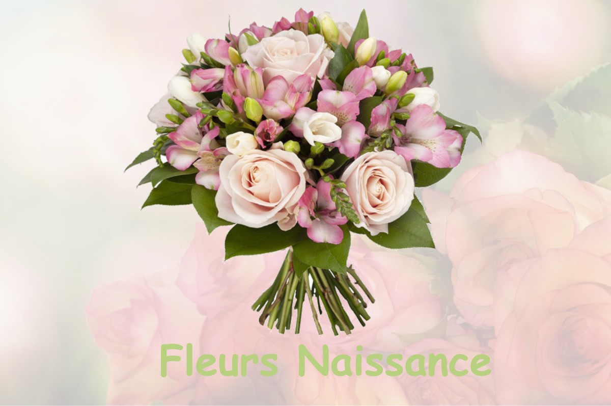 fleurs naissance BELBEZE-EN-COMMINGES