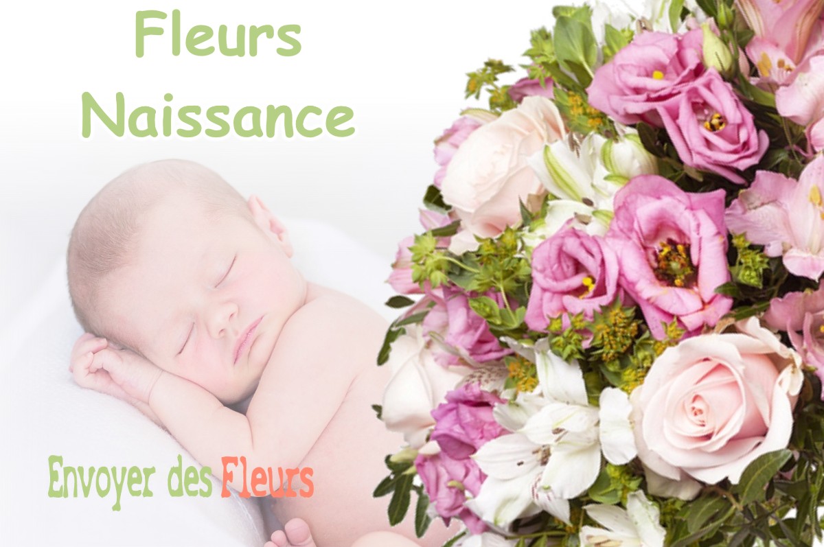 lIVRAISON FLEURS NAISSANCE à BELBEZE-EN-COMMINGES